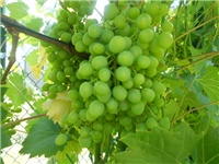 c322be18-DSCN0958.JPG