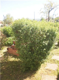 c380de6a-P7070819_01.JPG