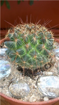 c41e20cb-002.JPG