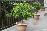 c44eef00-IMG_1864.JPG