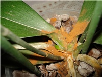 c45ee83b-DSC06642.JPG