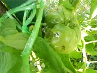 c5cf6d17-DSCN1011.JPG