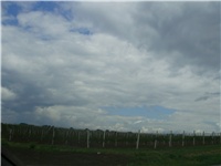 c60bc4fe-P3030037.JPG