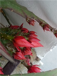 c61b9630-P1020160.jpg