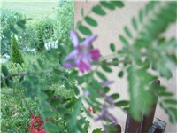 c6914f24-SL732245.JPG