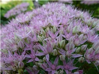 c7eae84a-P1000545.JPG