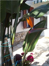 c8c65ece-101_1808.jpg