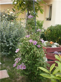 c9f2cd89-P5100072.JPG