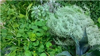 caeffdea-P_20170801_195931.jpg