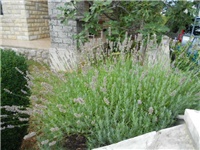 cb359236-DSCN1074.JPG