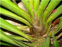 cb436851-DSC06636.JPG