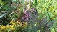 cc191463-P_20180524_142049.jpg