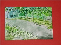 cc2bde40-Picture.jpg