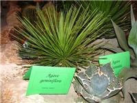 ccf27148-IMG_2699.jpg