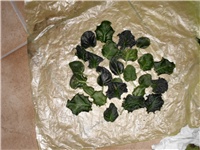 cd0138a2-DSCI0947.JPG