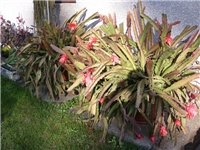 cd72f225-PA100485.JPG