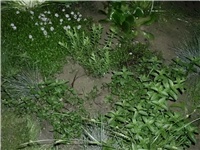 cd9e0676-DSCI2057.JPG