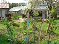 cd9e7537-DSC05549.JPG