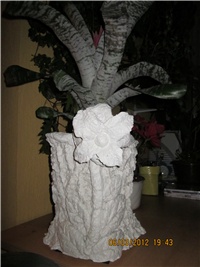 ce046b19-IMG_0699.JPG