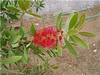 ce2c2b74-P1010178a.jpg