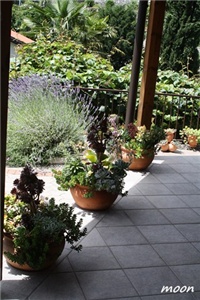 cece3225-IMG_2084.JPG