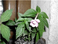 cee13313-DSCI2264.JPG