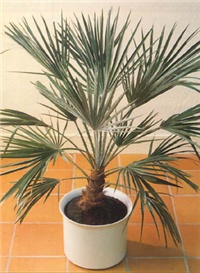 cf7ab107-1.jpg