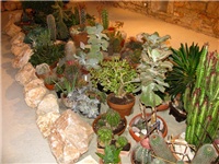 d00d0ccc-IMG_2767.jpg