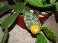 d024fd78-IMG_2729.jpg