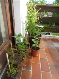 d0873af6-DSCN0934.JPG