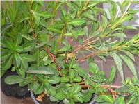 d0abab8e-054.JPG