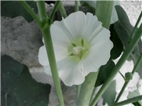 d17acd68-DSCI1344.JPG
