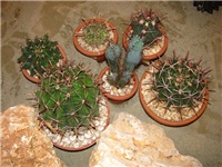 d1969cfa-IMG_2732.jpg