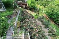 d1c17645-VB.jpg