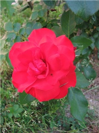 d26974a0-utorak014.jpg