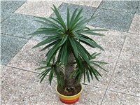 d29de324-050.JPG