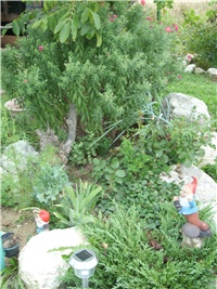 d301dbfb-SL732275.JPG