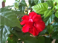 d306de30-IMG_3045.JPG