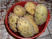 d372d489-DSCI0057.JPG