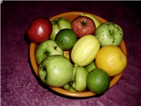 d3d59300-DSCI1813.JPG