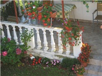 d441c7ae-IMG_0020.JPG
