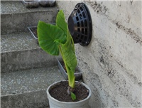 d491df2d-sshot-2012-08-07-00-11-52.jpg