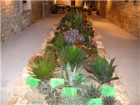 d4abdd47-IMG_2782.jpg
