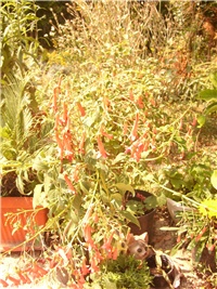d5f3d2ce-SL730301.JPG