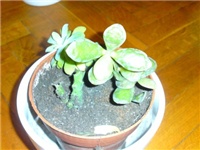 d6916fee-P10-12-12_16.08.jpg
