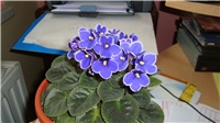 d6976cd7-DSC00158.JPG