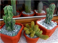 d6de9b0a-013.JPG
