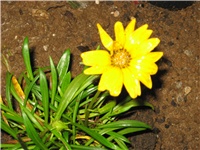 d75b755c-IMG_0062.JPG