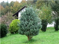 d785c1d3-006.JPG