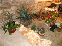 d86c8ffb-IMG_2771.jpg